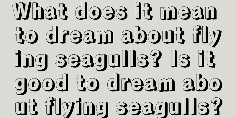 What does it mean to dream about flying seagulls? Is it good to dream about flying seagulls?