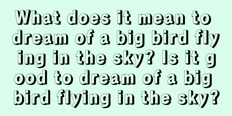 What does it mean to dream of a big bird flying in the sky? Is it good to dream of a big bird flying in the sky?