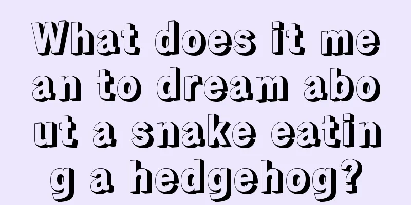 What does it mean to dream about a snake eating a hedgehog?