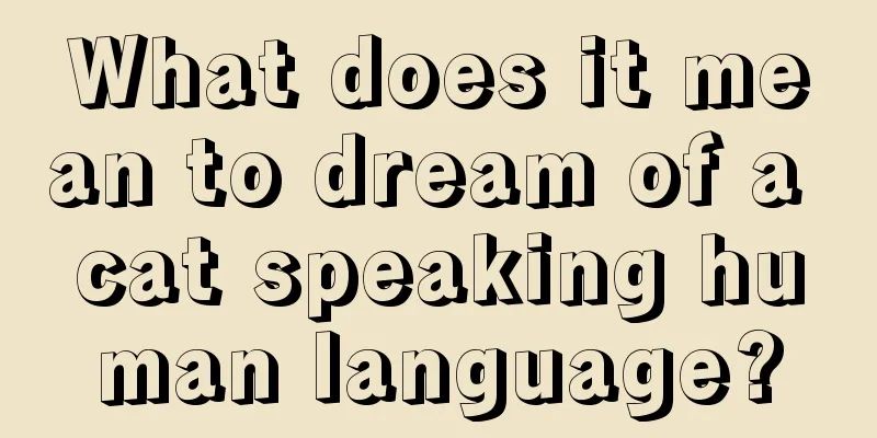 What does it mean to dream of a cat speaking human language?