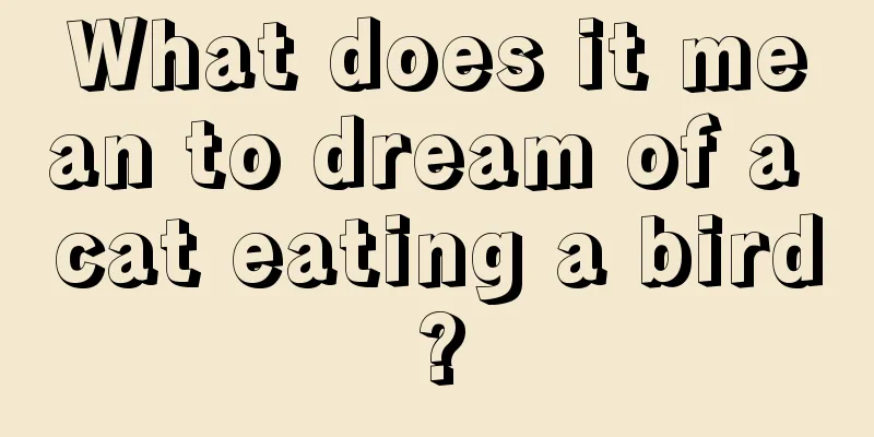 What does it mean to dream of a cat eating a bird?