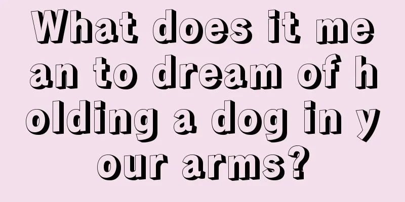 What does it mean to dream of holding a dog in your arms?