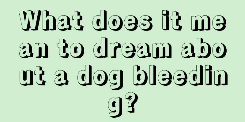 What does it mean to dream about a dog bleeding?