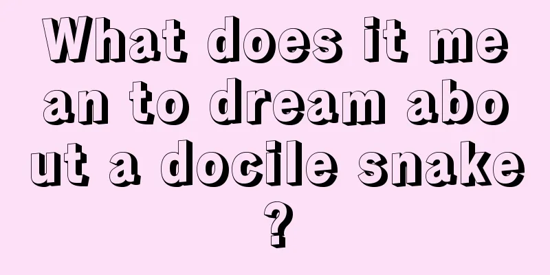 What does it mean to dream about a docile snake?