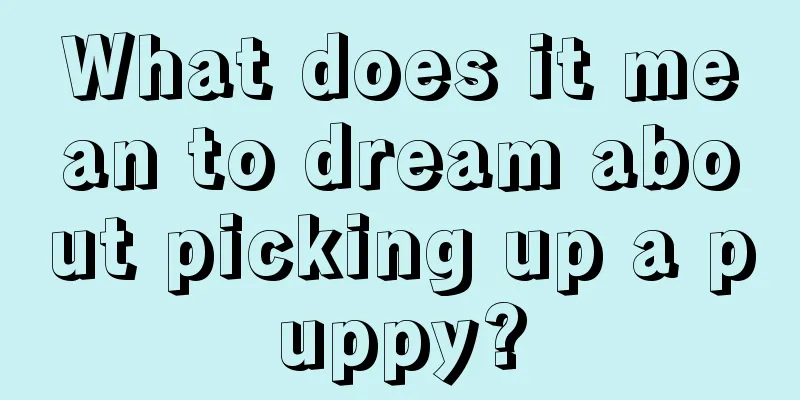 What does it mean to dream about picking up a puppy?