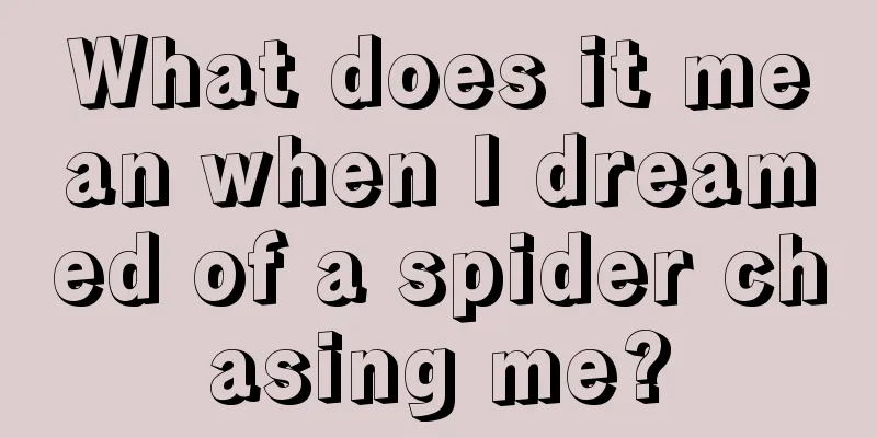 What does it mean when I dreamed of a spider chasing me?