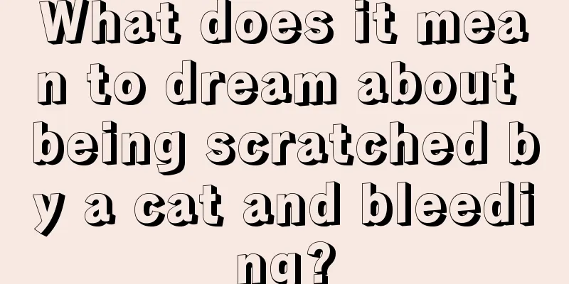 What does it mean to dream about being scratched by a cat and bleeding?