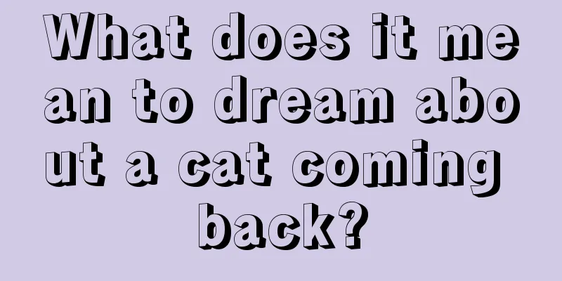 What does it mean to dream about a cat coming back?