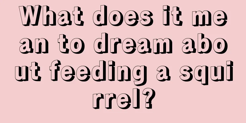 What does it mean to dream about feeding a squirrel?