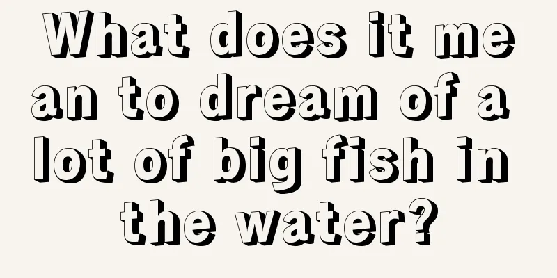 What does it mean to dream of a lot of big fish in the water?