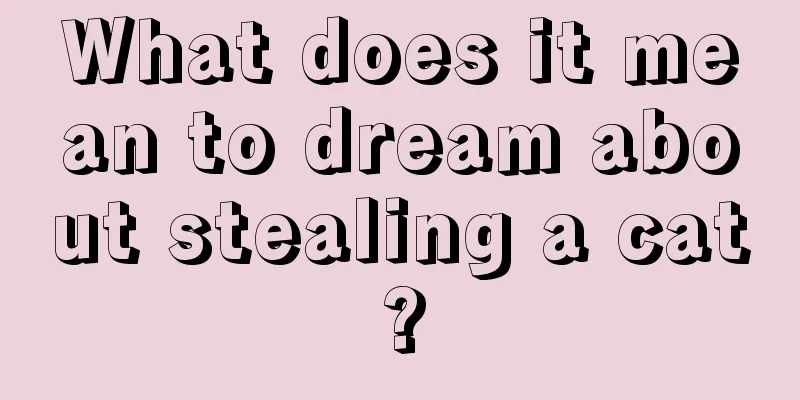 What does it mean to dream about stealing a cat?