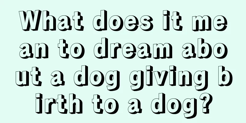 What does it mean to dream about a dog giving birth to a dog?