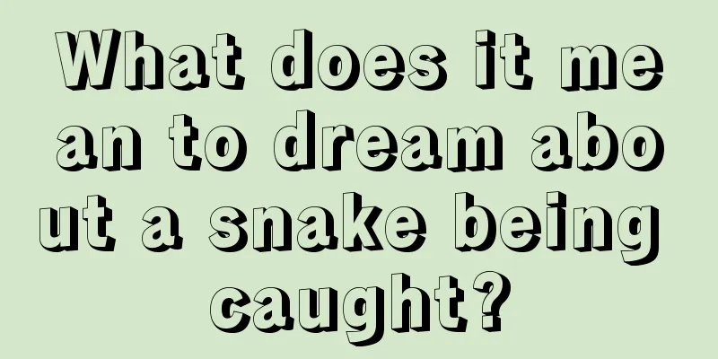 What does it mean to dream about a snake being caught?