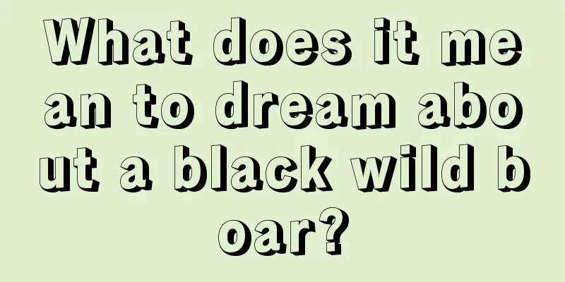 What does it mean to dream about a black wild boar?