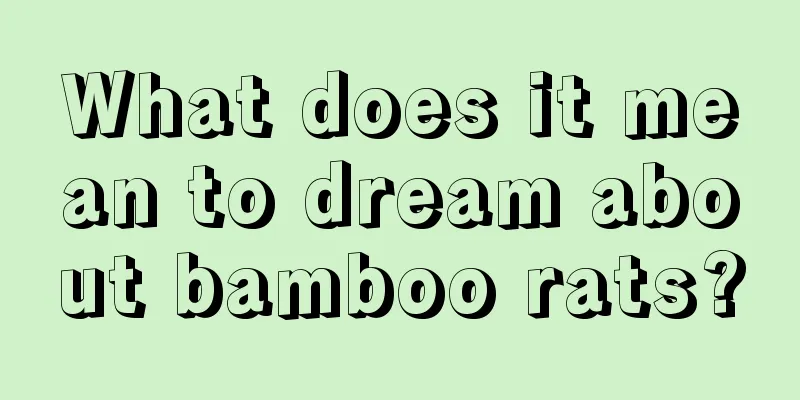 What does it mean to dream about bamboo rats?