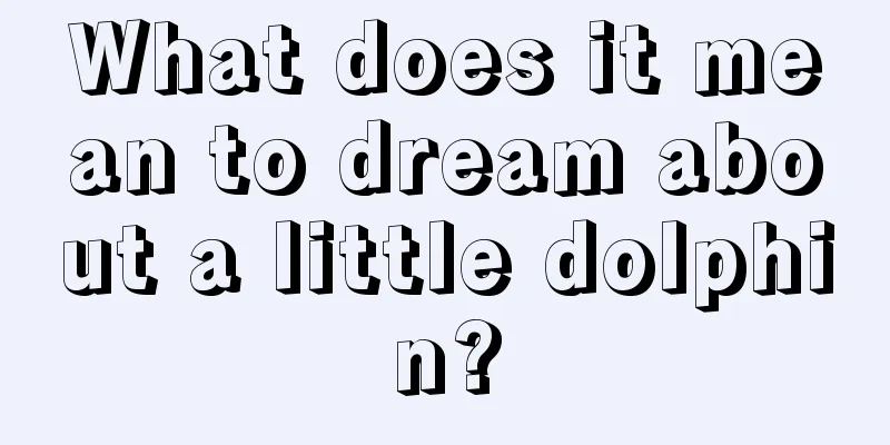 What does it mean to dream about a little dolphin?