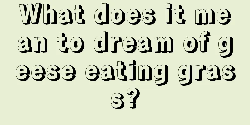 What does it mean to dream of geese eating grass?