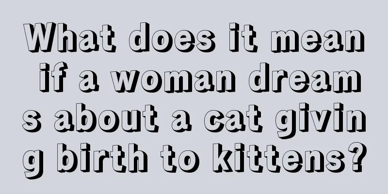 What does it mean if a woman dreams about a cat giving birth to kittens?