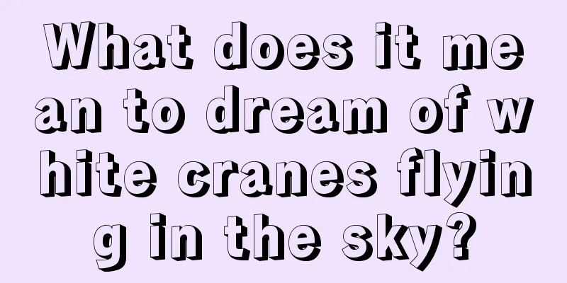 What does it mean to dream of white cranes flying in the sky?