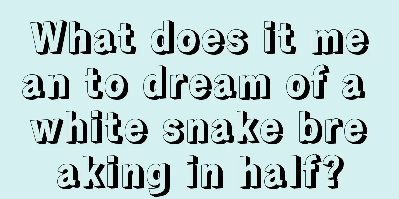 What does it mean to dream of a white snake breaking in half?