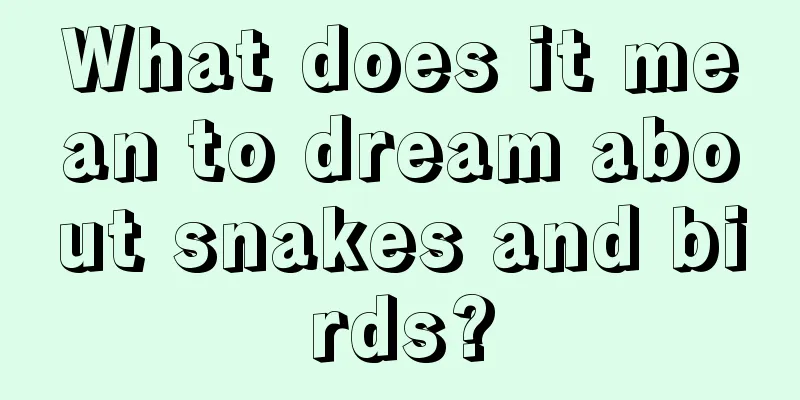 What does it mean to dream about snakes and birds?