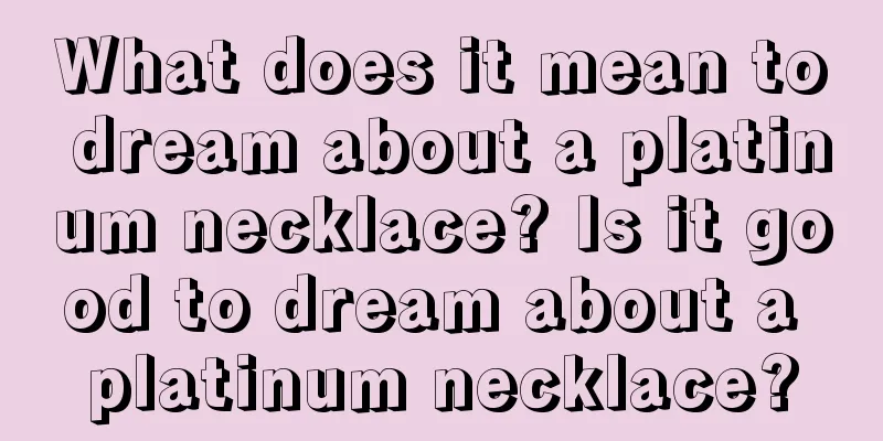 What does it mean to dream about a platinum necklace? Is it good to dream about a platinum necklace?