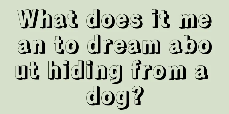 What does it mean to dream about hiding from a dog?