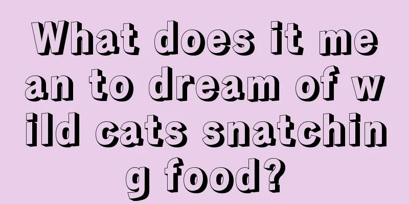 What does it mean to dream of wild cats snatching food?