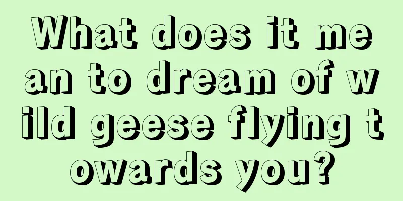 What does it mean to dream of wild geese flying towards you?