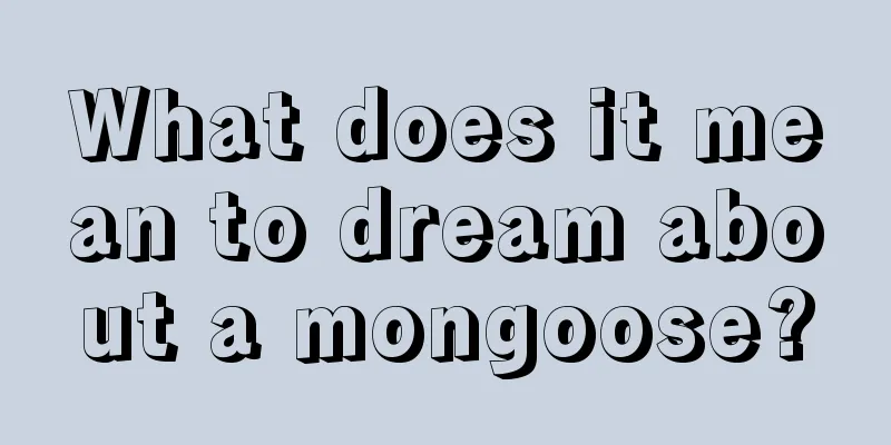 What does it mean to dream about a mongoose?