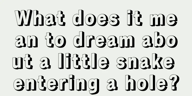 What does it mean to dream about a little snake entering a hole?