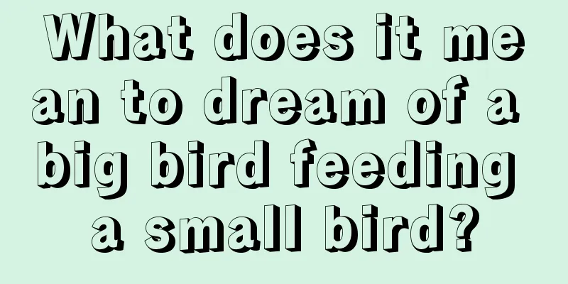 What does it mean to dream of a big bird feeding a small bird?