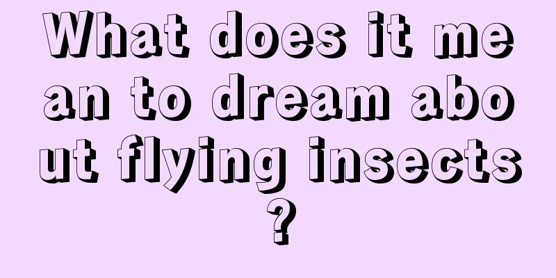 What does it mean to dream about flying insects?