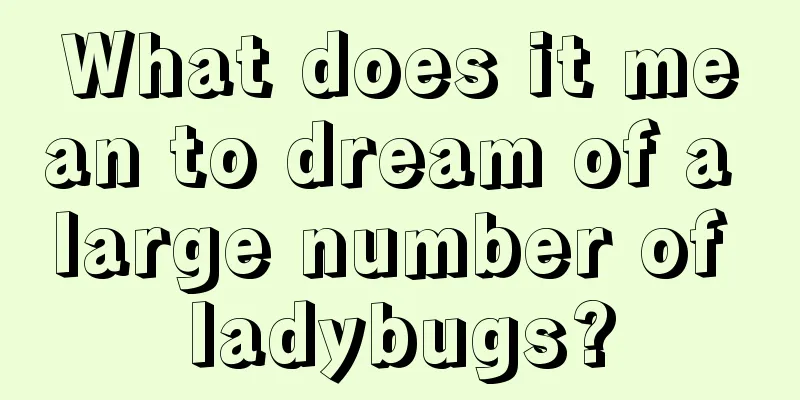 What does it mean to dream of a large number of ladybugs?