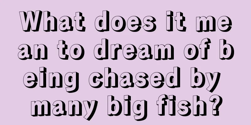 What does it mean to dream of being chased by many big fish?