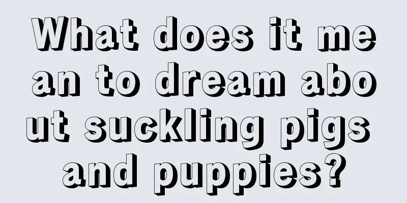 What does it mean to dream about suckling pigs and puppies?