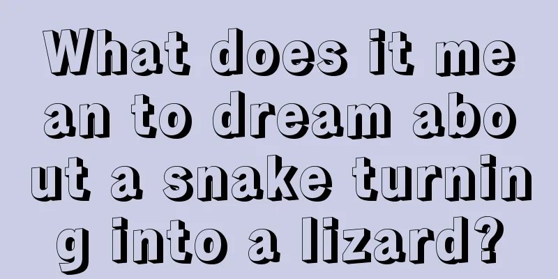 What does it mean to dream about a snake turning into a lizard?