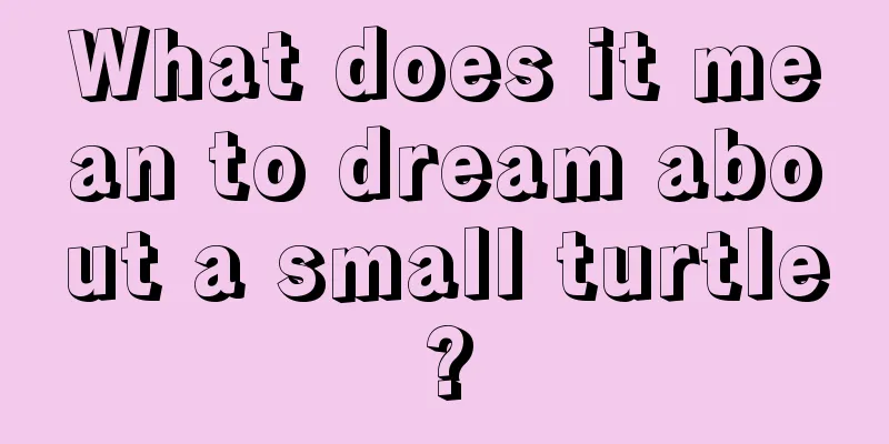 What does it mean to dream about a small turtle?