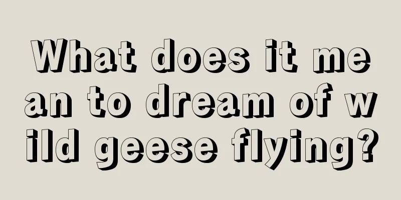 What does it mean to dream of wild geese flying?