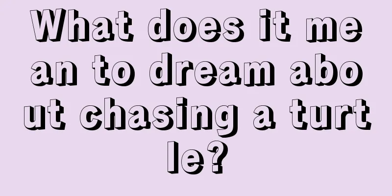 What does it mean to dream about chasing a turtle?