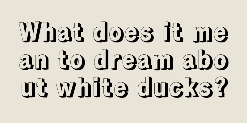 What does it mean to dream about white ducks?