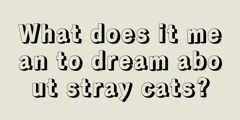 What does it mean to dream about stray cats?