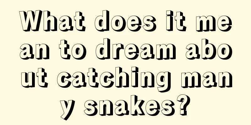 What does it mean to dream about catching many snakes?