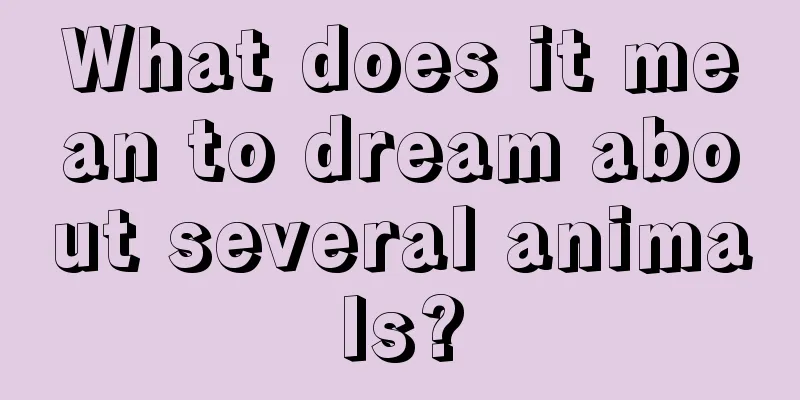 What does it mean to dream about several animals?