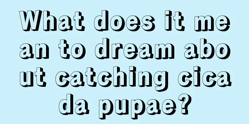 What does it mean to dream about catching cicada pupae?