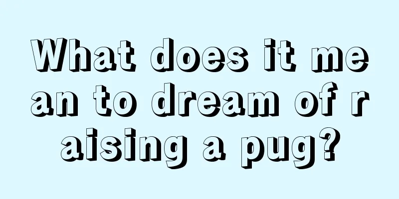 What does it mean to dream of raising a pug?