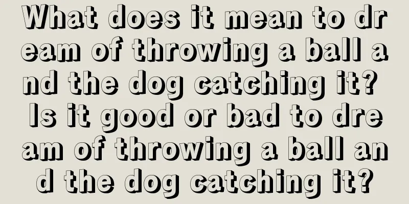 What does it mean to dream of throwing a ball and the dog catching it? Is it good or bad to dream of throwing a ball and the dog catching it?