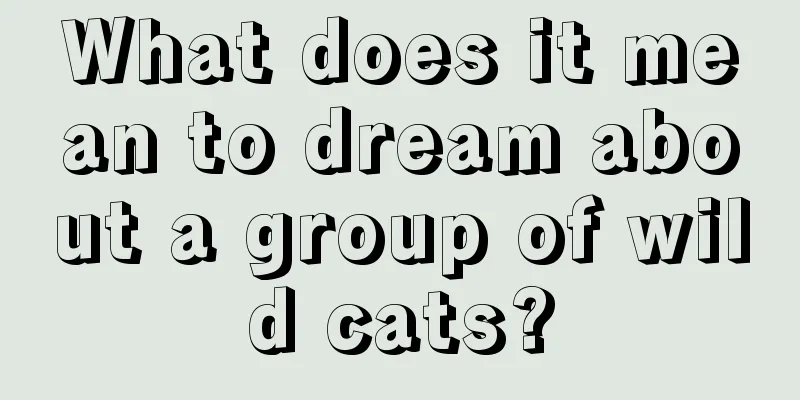 What does it mean to dream about a group of wild cats?