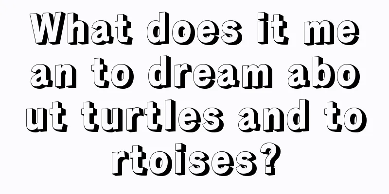 What does it mean to dream about turtles and tortoises?