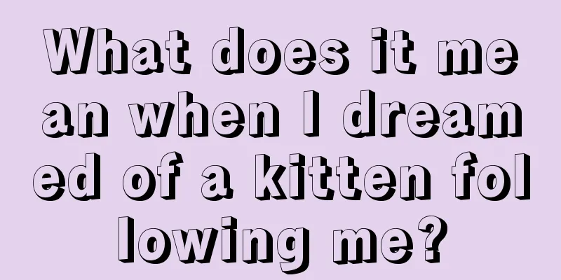 What does it mean when I dreamed of a kitten following me?